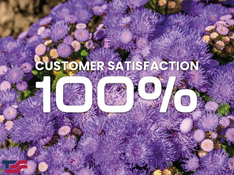 100% Customer Satisfaction