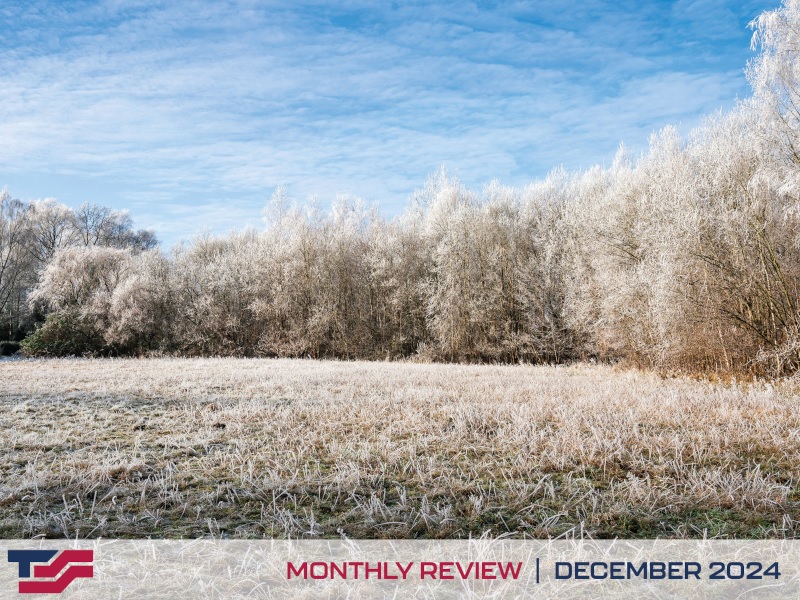 Monthly Review - December 2024