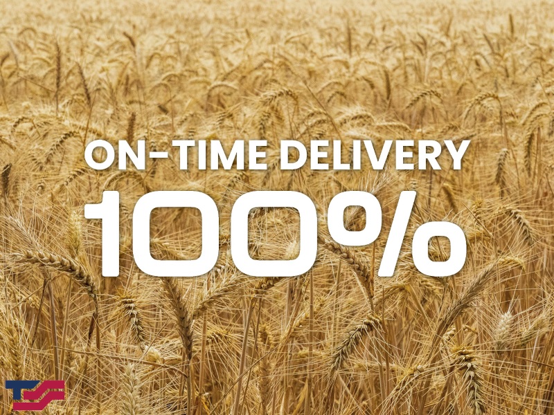 100% On Time Delivery