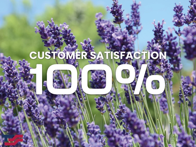 100% Customer Satisfaction