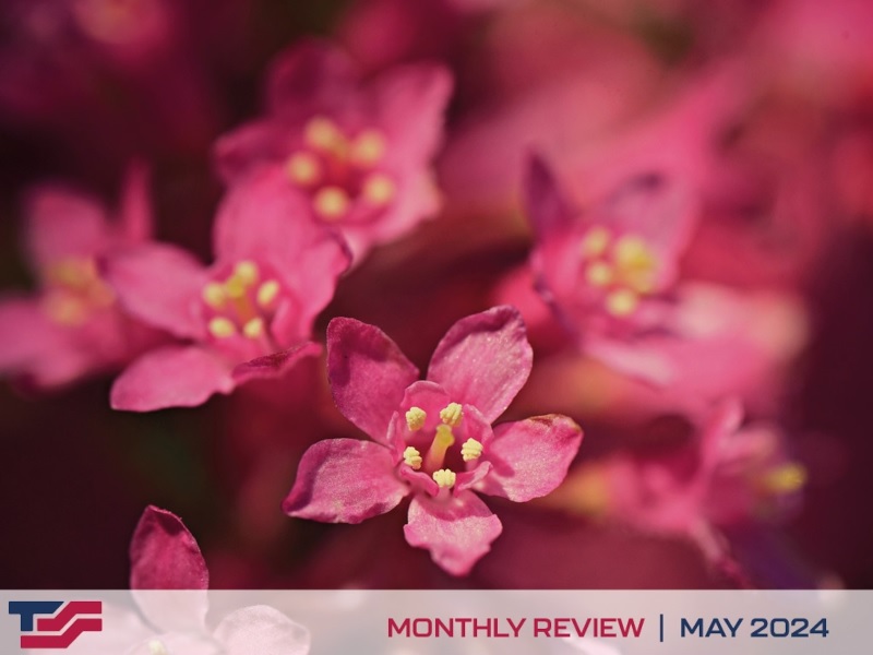 Monthly Review - May 2024