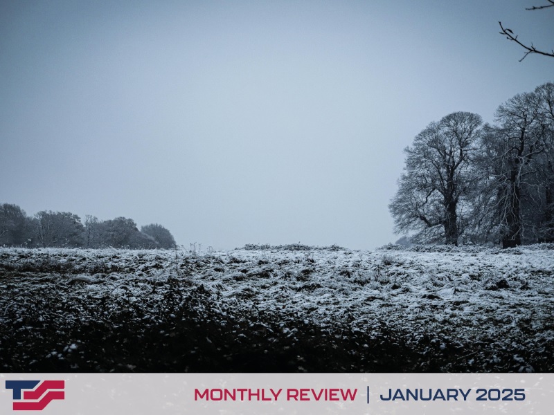 Monthly Review - January 2025