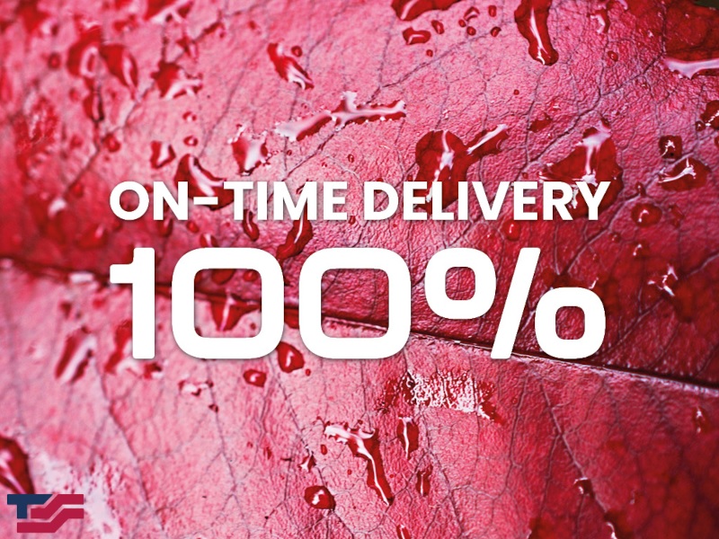 100% On Time Delivery