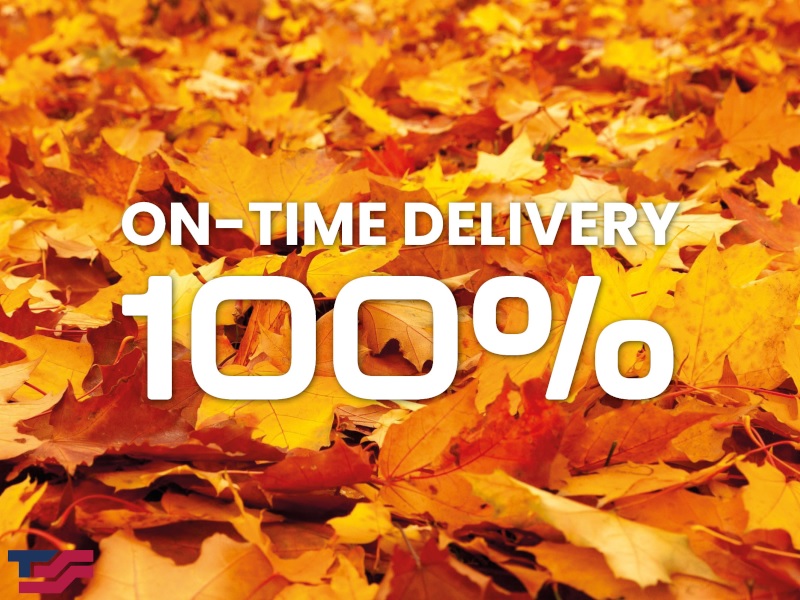 100% On Time Delivery